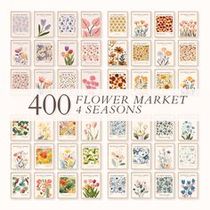 the flower market 4 seasons card set is shown in various colors and designs, including flowers