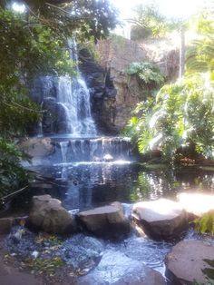 there is a waterfall in the middle of some rocks and plants on the other side