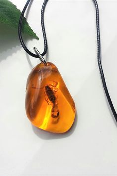 Real Scorpion Amber Resin Insect Jewelry Pendant Amulet necklace Protection Necklace Bug necklace yellow gold Taxidermy Jewelry Scorpion gift adults, child , option Keychain Lovely Amulet 🥰 Scorpion Large pendant on a cord Amber color epoxy resin gift to a friend, girlfriend holiday birthday, christmas children gift loves insects US size 1.60 inch by 1 inch black cord 18 inches + 1.97 chain ------------------ pendants 4 cm by 2.5 cm cord 45 cm + extension chain ------------------- Christmas Children, Clothes Reference