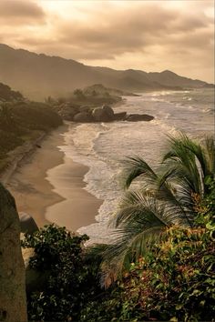 an ocean view with palm trees and mountains in the background