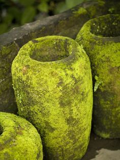 moss covered vases are stacked on top of each other