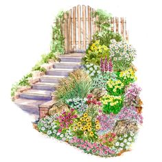 a drawing of a garden with steps and flowers