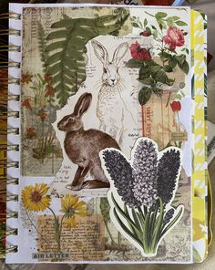 an open notebook with pictures of flowers and rabbits