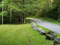 the road is lined with large rocks and green grass on both sides, as well as trees in the background