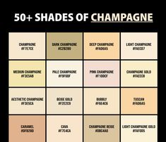 the 50 shades of champagne are on display in this graphic style chart, which includes different shades