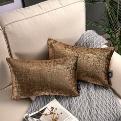 two pillows sitting on top of a couch next to a magazine and potted plant