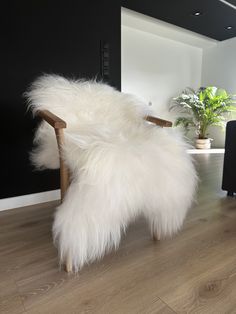 a white chair sitting on top of a hard wood floor next to a potted plant