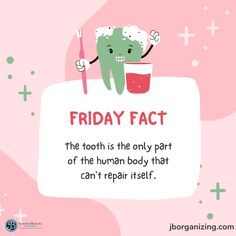 Friday Fact Friday Facts Funny, Preschool Printouts, Biology Jokes, Office Marketing, Reading Tutor, Useless Facts, Whiteboard Messages, Homeschooling Activities, Friday Facts