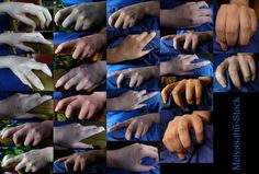 many hands are shown with different gestures