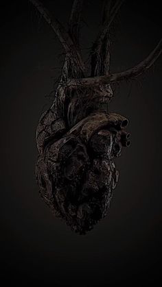 an image of a human heart hanging from a tree branch in the dark with no leaves on it