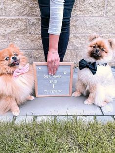 Get inspired by these stylish engagement announcement ideas! From romantic photos to playful announcements, find tips to share your love story in a way that’s uniquely you. Engagement announcement ideas, engagement photo inspiration, creative engagement ideas Engagement Announcement Ideas Unique, Engagment Annoucment, Engagement Ideas