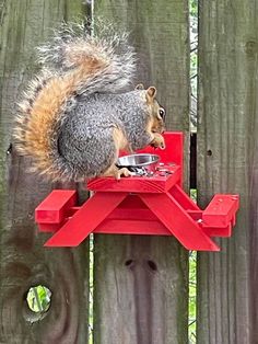 a squirrel sitting on top of a red picnic table with food in it's mouth