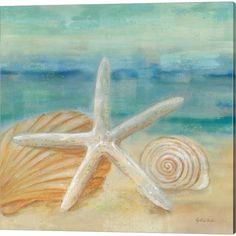 seashell and starfish on the beach with blue ocean in background canvas wall art print