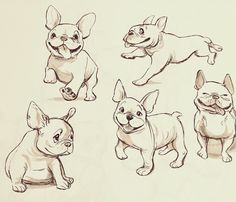 four different types of dogs are shown in this drawing technique, and each dog has its own unique expression