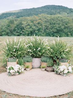 an arrangement of plants and flowers in baskets on a round rug outside with mountains in the background