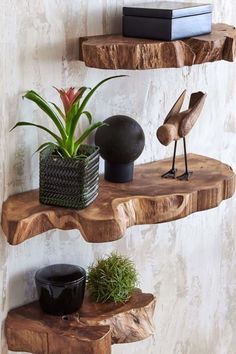 Live Edge Floating Shelves |Unique Shelf Ideas For Wall Decor |Floating Wood Shelves |Rustic Shelf Natural Teak Wood, Wood Floating Shelves, Estantes Flotantes, Live Edge Wood, Decor Minimalist, Wooden Shelves, Decor Rustic, Wood Shelves