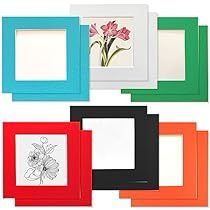 six different colored frames with flowers in them