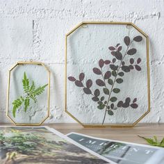 two mirrors with plants in them sitting on a table next to a magazine and plant