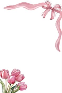 pink tulips with ribbon and bow on white background