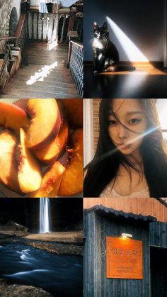 a collage of photos with a cat sitting on top of a building and some peaches