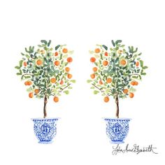 two blue and white vases with orange trees in them on a white background, one is holding an orange tree