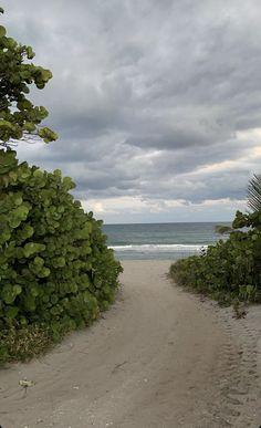 a sandy path leading to the ocean under a cloudy sky