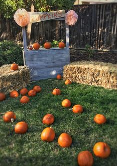 pumpkins lay on the grass in front of a wooden box and hay bales