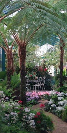 a garden filled with lots of different types of plants and flowers next to a white table surrounded by palm trees