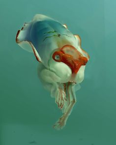 a jellyfish floating in the water with its mouth open