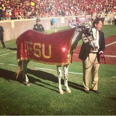 a man standing next to a horse covered in sequins at a football game