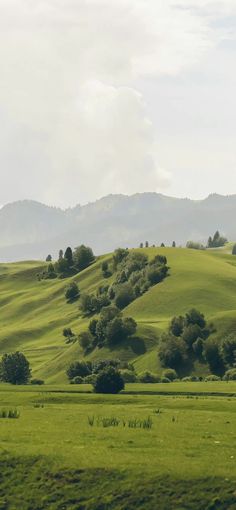 the rolling hills are covered in green grass