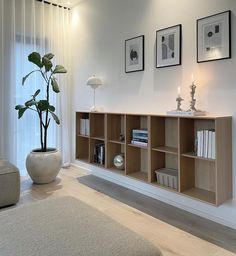 a living room filled with furniture and a potted plant