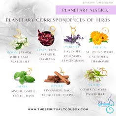 PLANETS AND HERBS In the enchanting world of magick, each herb has its own unique energies and influences. As well as correspondences for intentions and elements, each herb carries a planetary signature. These correspondences were of utmost importance to witches, healers and the alchemists , who used the herbs to create inner change and healing through tinctures, spagyrics, and ritual work. #thespiritualtoolbox #planetarymagick #herbalmagick #cosmicenergies Herbs Of Mercury, March Correspondences, Tuesday Magick, Be Witched, Magick Herbs, Witchcraft Tips, Witchy Items, Altar Inspiration