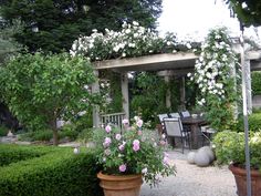 an outdoor dining area with potted plants and flowers in the foreground, surrounded by greenery