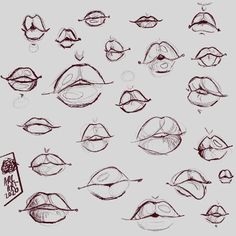 a bunch of different types of lips drawn in pencil on paper with the caption's description below