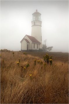 a light house sitting on top of a hill covered in foggy clouds and yellow wildflowers