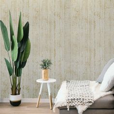 a living room scene with a couch, table and potted plant on the floor