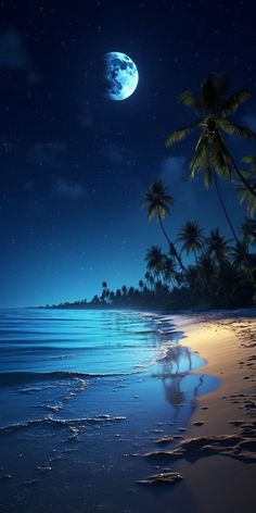 the moon is setting over an ocean with palm trees