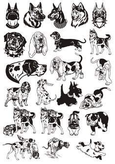 a bunch of dogs that are drawn in black and white