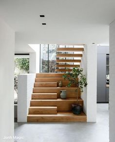 there is a plant on the stairs in this modern house with white walls and wood steps