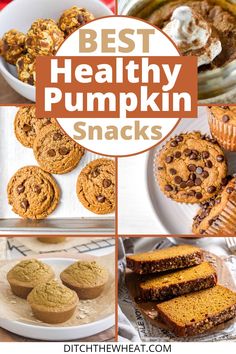 the best healthy pumpkin snacks for kids and adults to enjoy in their own kitchen or dining room