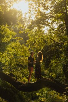 two people stand on a fallen tree in the woods, holding hands and looking at each other