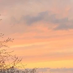 an airplane is flying in the sky at sunset or dawn, with trees and clouds behind it