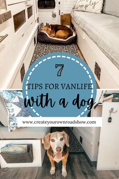 two dogs sitting in the back of a camper with text overlay that reads 7 tips for van life with a dog