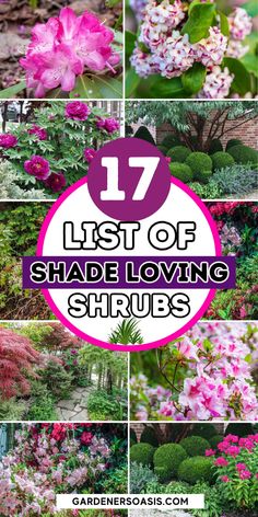 Shade Loving Shrubs: The Best Bushes To Plant Under Trees Shade Landscaping Front Yard, Shade Bushes, Flowering Shade Plants, Evergreens For Shade, Perennial Garden Design, Yard Flowers