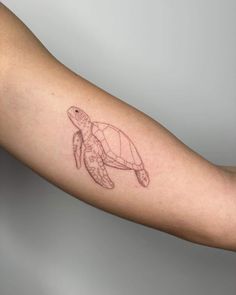 a small turtle tattoo on the arm