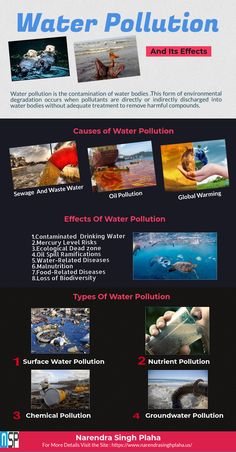 water pollution and its effects info sheet