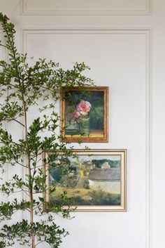 two paintings hang on the wall next to a potted plant