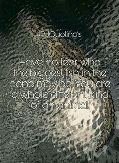 an image of a quote on the water that says, have no fear who the biggest fish in the pond may be you are a whole different kind of animal