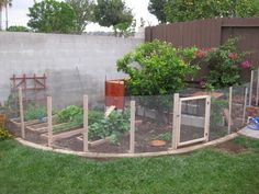 an outdoor garden area with various vegetables and plants in the fenced off area,